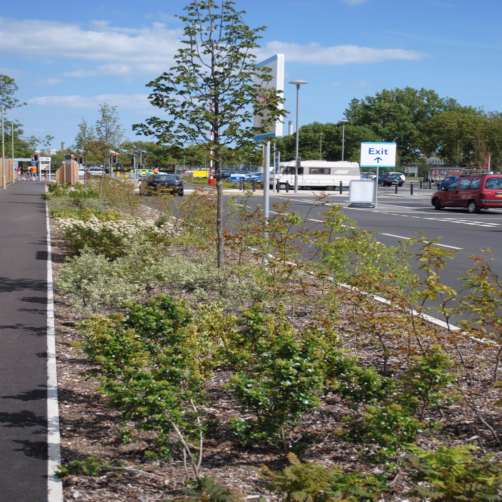 Greentree Amenity Tree Soil Urban Structural Tree Soil Greentech